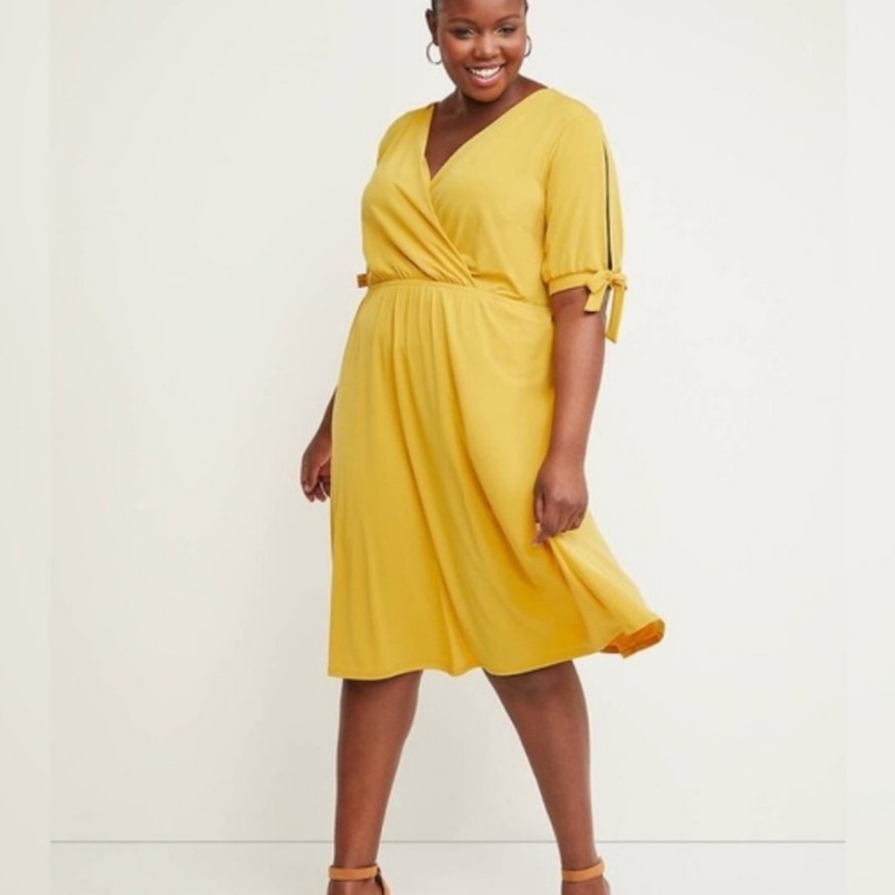 NWT Lane Bryant Fit and Flare Dress